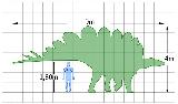 Estegosaurio - Stegosaurus armatus. Comparacin con el hombre. Wikipedia