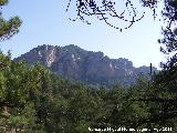 Paredes rocosas del Calar de Pea Rubia. 