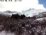 Almadn. Desde el Sendero de Fuenmayor