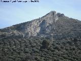 Cerro Salto de la Yegua. 