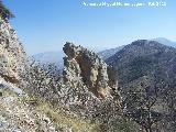 Cerro Salto de la Yegua. Formacin rocosa de su vertiente Este