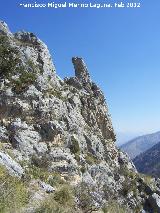 Cerro Salto de la Yegua. Formacin rocosa de su vertiente Este