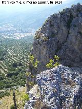 Cerro Salto de la Yegua. Los Villares al fondo