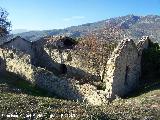 Cortijo las Olivillas. 