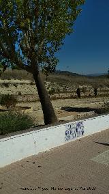 Paseo Virgen de la Consolacin. 