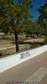 Paseo Virgen de la Consolacin. 