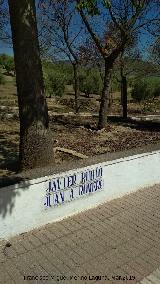 Paseo Virgen de la Consolacin. 