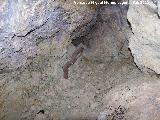 Santuario ibrico de la Cueva de la Lobera. Interior