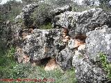 Oppidum de Encina Hermosa. Muralla ciclopea