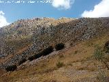 Cerro Alto de la Serrezuela. 