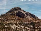 Sierra de la Golondrina. 