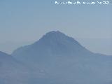 Sierra de la Golondrina. Desde Albanchez de Mgina