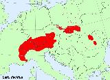 Alerce europeo - Larix decidua. Distribucin. Wikipedia