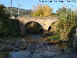 Puente de Triana. 