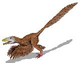 Deinonico - Deynonychus antirrhopus. 