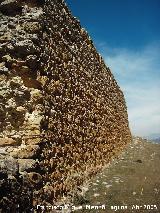 Castillo de las Cinco Esquinas. Muralla