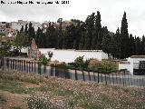 Cementerio de Antequera. 