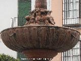 Fuente de la Plaza San Sebastin. 