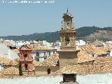 Real Monasterio de San Zoilo. Desde el Mirador del Parking Centro