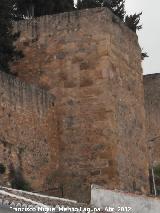 Alcazaba. Torren XX. 