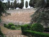 Alcazaba. Muralla Cristiana. 