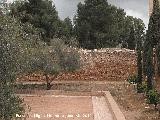 Alcazaba. Muralla Cristiana. 