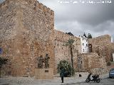 Plaza del Carmen. 