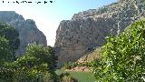 Desfiladero de los Gaitanes. Desde el Mirador de la Fuente de El Pilar