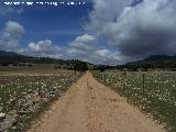 Llanos de Palomares. 