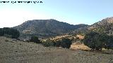 Llanos de Palomares. Al fondo el Grajales