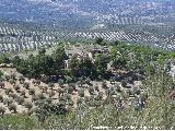 Cortijo Pea Grajera. 