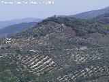 Cerro de la Torre. 