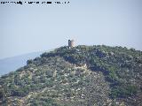 Cerro de la Torre