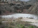 Cantera de Bartolom. Laguna