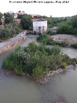 Molino de San Antonio. 