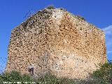 Castillo Torrevieja. 