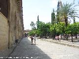 Mezquita Catedral. Patio de los Naranjos. 