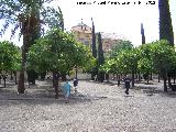 Mezquita Catedral. Patio de los Naranjos. 