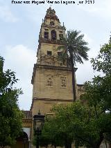 Mezquita Catedral. Torre Campanario. 