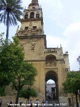 Mezquita Catedral. Torre Campanario. Junto a la Puerta del Perdn
