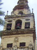 Mezquita Catedral. Torre Campanario. Campanario