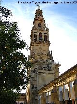 Mezquita Catedral. Torre Campanario. 