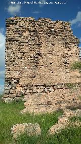 Castillo Torre de Zarracotn. 