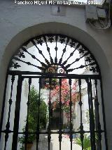 Casa de los Ahumada. Reja