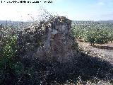 Castillo Torrechantre. Muros