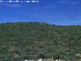 Cerro de Los Corralillos. 