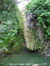 Cascada de la Corregidora. 