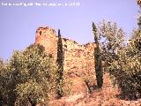 Castillo de los Duques de Alburquerque. 