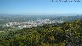 Cerro Miguelico. Vistas a Torredelcampo