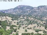 Cerro El Tejuelo. 